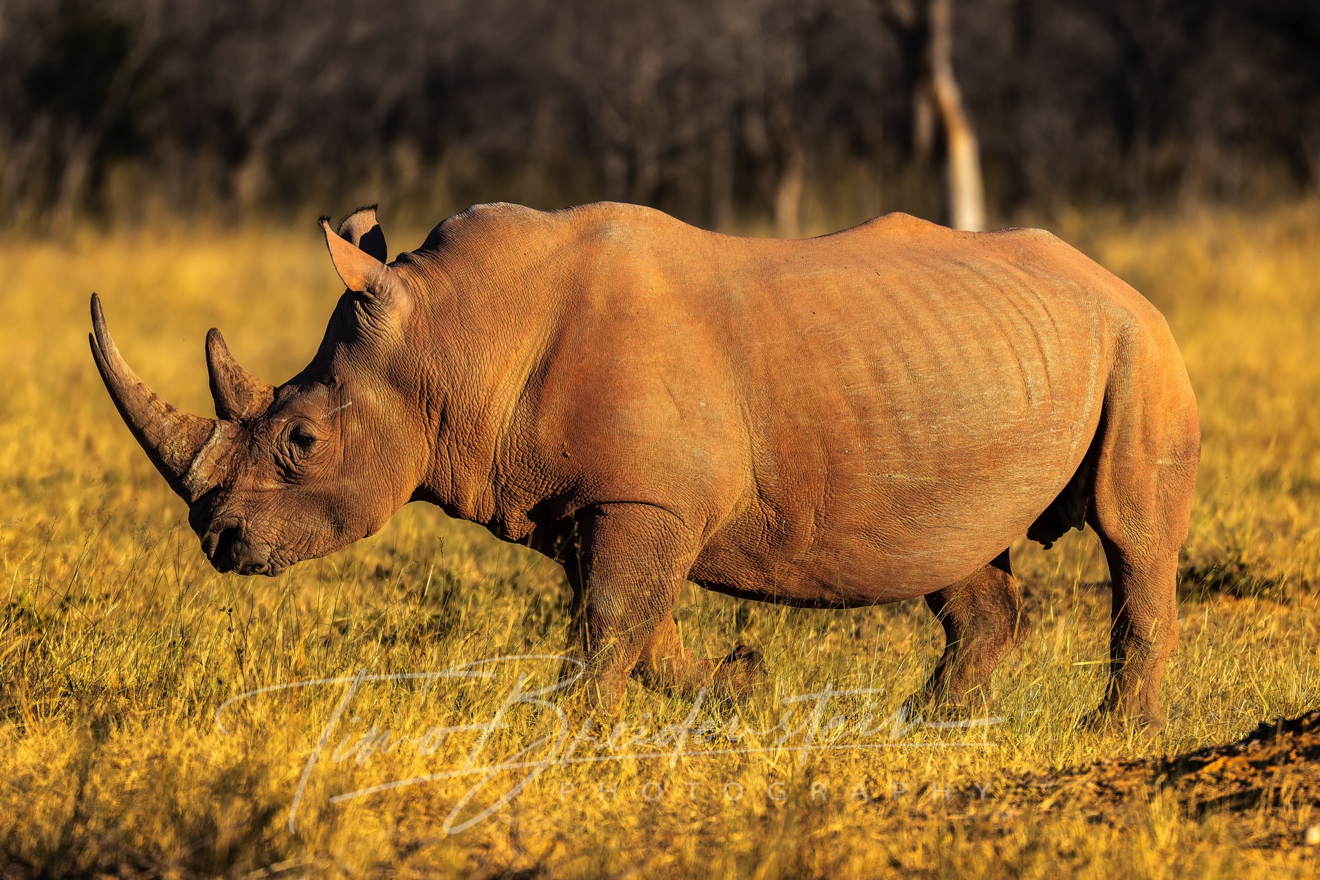 20250623 822A0077 Kopie